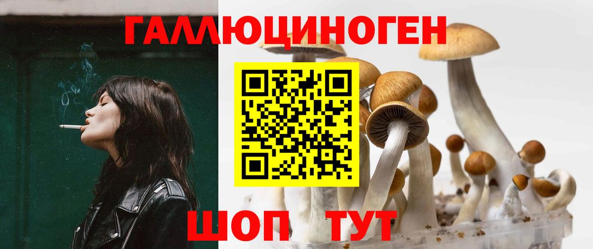 Кропоткин  Галлюциногенные грибы MAGIC MUSHROOMS  Вход с VPN 